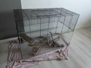 Hamsterbur til et liv på 1. Klasse