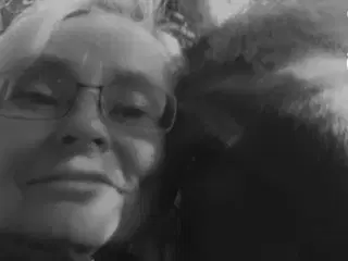 Skovturs hest købes 