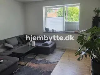 Hjembytte - Hagestedvej