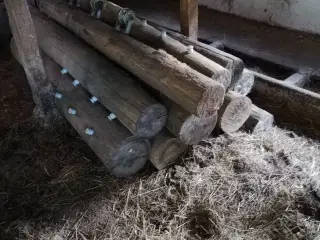 Telefon pæle