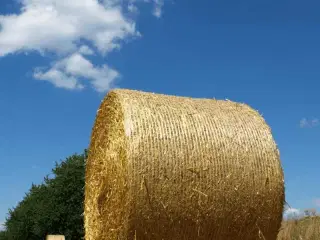 Rundballer