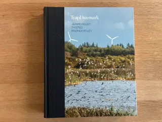 Trap Danmark   -  Jammerbugt, Thisted, Brønderslev