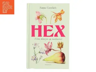 Hex : urter, klarsyn og medsøsteri af Sanne Gottlieb (Bog)
