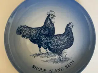 Race-høns platter KUN 150kr