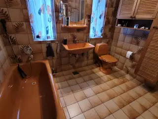 Badeværelse sanitet