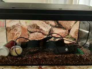 54 liters Eheim akvarie med udstyr