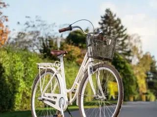 Cykel Dagmar 