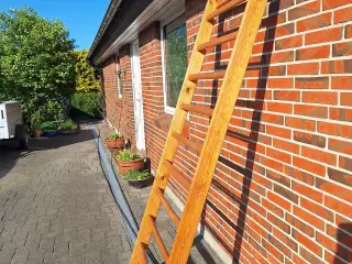 Ribbe i fyrretræ 
