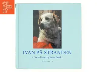 Ivan på stranden af Anne Linnet, Yanne Bendix (Bog)