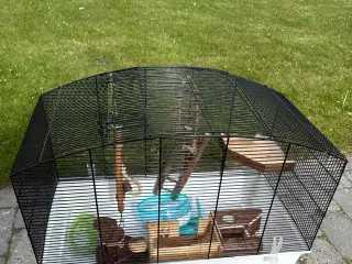 Hamster bur