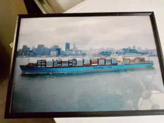 7 super flotte mærsk skibe