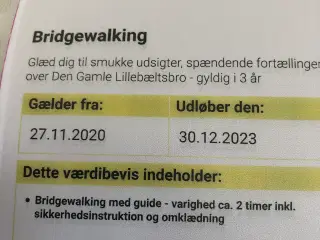 Bridgewalking 
