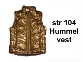 89) str 104 Hummel vest