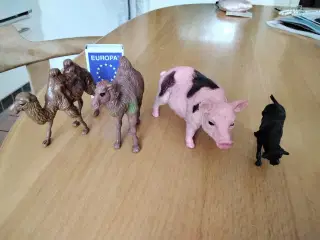  Husdyr, hunde og bønder (9 billeder)