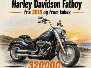 HD Fatboy købes 