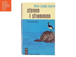 Stenen i Strømmen af Hans Lyngby Jepsen (Bog)