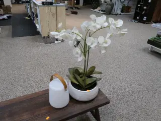 Kunstig Plante i Krukke samt LED Lampe