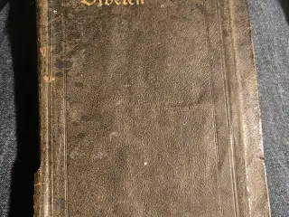 1911 - Den hellige Skrifts kanoniske Bøger