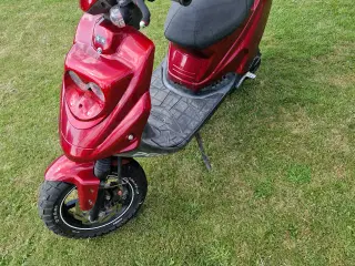 Pgo hot50 