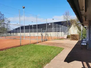 Tenniskursus for begyndere!! 300 kr.!! fRA 30.4.