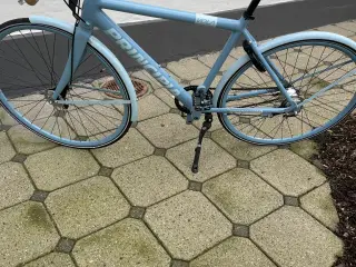 Principia herre cykel