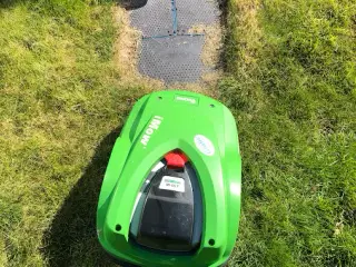 robotplæneklipper