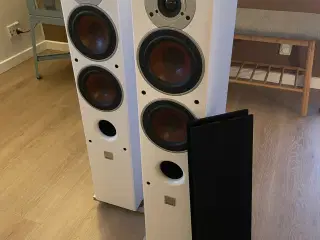 Dali zensor 5 gulvhøjtalere
