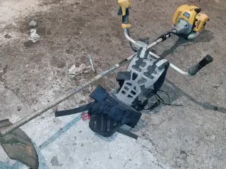 Buskrydder