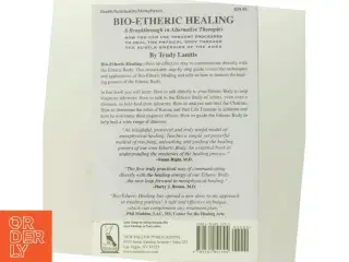 Bio-Etheric Healing af Trudy Lanitis (Bog)