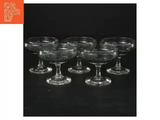 5 stk. Holmegaard Atlantic champagneglas (str. ø 7 cm, 5 styk cm)