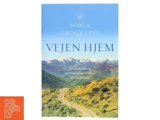 Vejen hjem : en healende og spirituel pilgrimsrejse på Caminoen af Sonia Choquette (Bog)