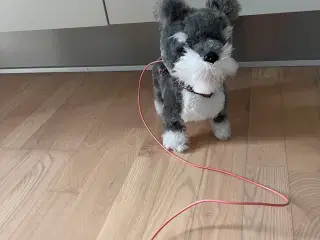 hund der kan gø og gå