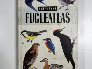 Lademanns Fugleatlas