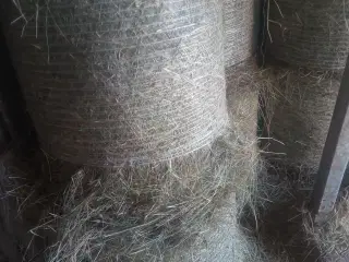 Hø