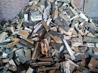 Blandet tørt løvtræ