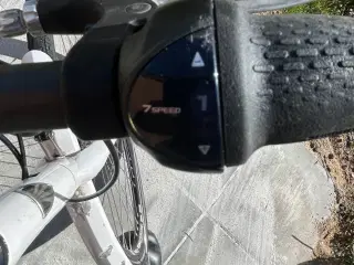 TREK damecykel
