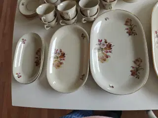 Vita Stel