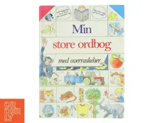 Min store ordbog (Bog) fra LITAS