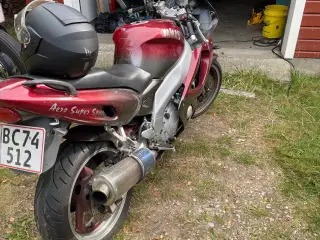 Yamaha thundercat 
