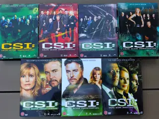 8 x Csi
