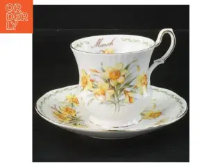 Tekop med underkop fra Royal Albert (str. Ø 14x8x10 cm)
