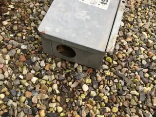Rotte kasser