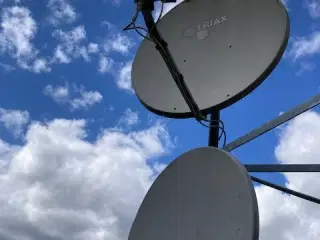 2 x paraboler med samlet 4 hoveder sælges !!