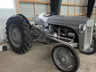 Ferguson 31