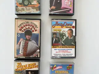 Kassette bånd 30 stk