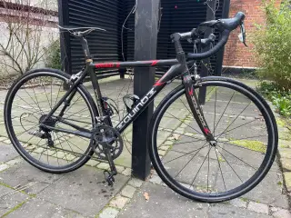 Carbon junior racer