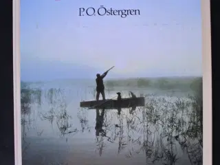 jagtskydning, af p. o. östergren, emne: jagt