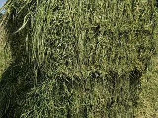 Ko-wrap sælges 