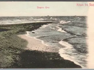 Hilsen fra Skagen - Skagens Gren - Postkort - Ubrugt