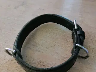 Halsbånd og andet udstyr til hunde.